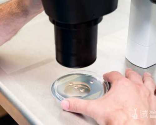 北京代孕女子那里找|济宁医学院附属医院供卵试管