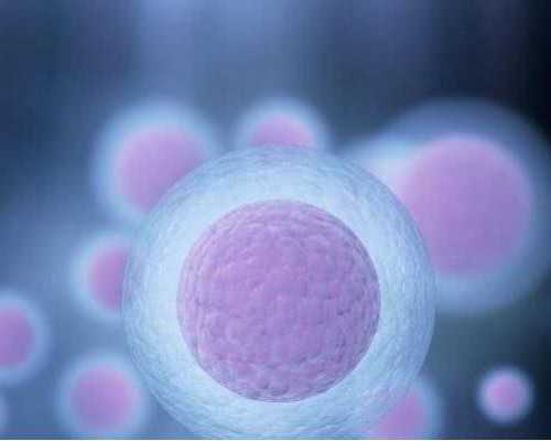 2026
年代孕_40几岁供卵成功率,【供卵试管qq群湖南湘雅医院供卵吗】两个月了,