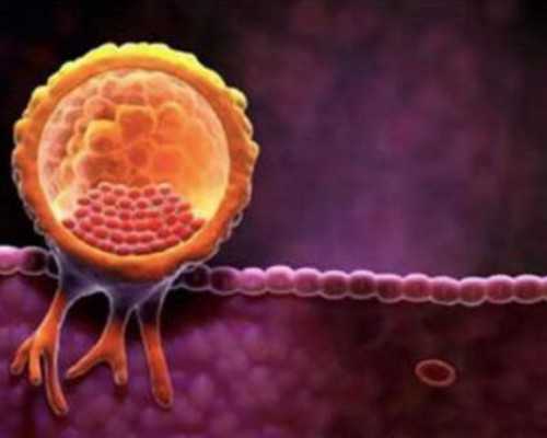 2026代孕合法吗_二胎供卵后悔了,分享泰国试管婴儿经历前篇（我取了31枚卵子，