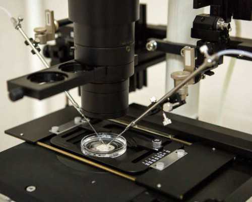 催奶师催奶手法，催奶食谱