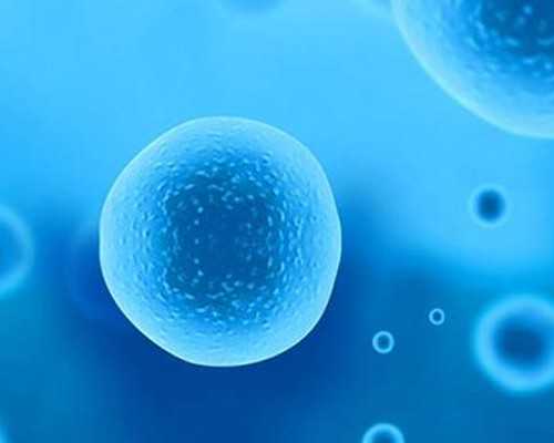 北京试管求子助孕|北京供卵三代试管婴儿费用是多少?