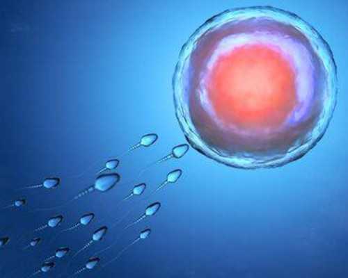 代孕供卵包成功_专业代生孩子价格,试管婴儿治疗主要是用什么药物的?-南京供