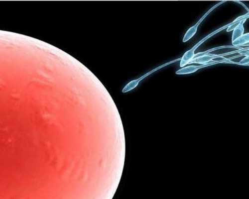 试管婴儿促排方案一般需要几天：了解其具体流程和注意事项