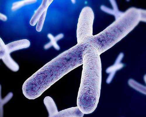 (a)做代孕具体价格,广州供卵试管婴儿选性别_国内公立医院