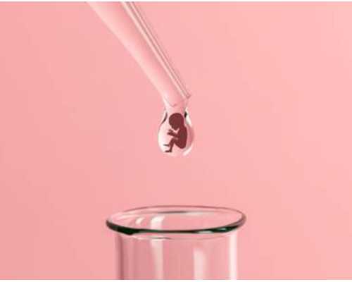 新婆媳关系陈露与冯素兰