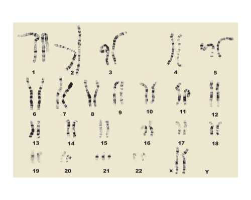 坐月子正确洗澡的方法新妈妈可试试