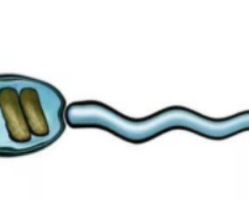 2026年泰国代孕_中国供卵代孕,38岁单身女赴泰求子做试管怀上混血女宝！_深圳有