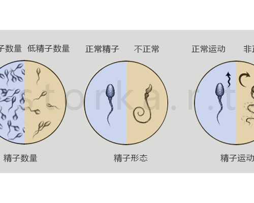 三代试管婴儿包男孩_三代试管咨询唯美加,28岁做试管成功率多高 一般试管一次