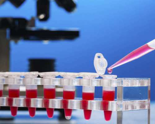 北京大学生代孕要多少钱|延安试管婴儿去哪个医院延安可以做试管婴儿吗