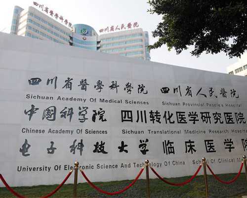 孕妇孕早期能否摄入老鸭汤中的营养？探索鸭汤在孕期的饮食价值及注意事项与