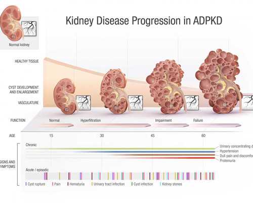 北京助孕私立机构,北京供卵代孕婴儿最权威的医院