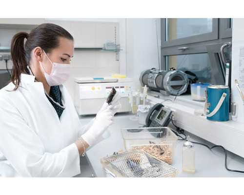 北京借卵代孕孩子能当亲生的吗|[达州试管婴儿]试管婴儿成功率