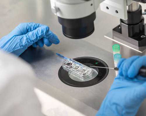 18岁身份证号码和姓名？18岁以上的成人身份证号有哪些