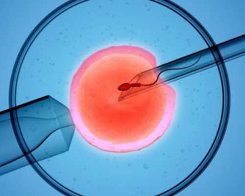 北京试管婴儿代孕包生子|2026年安徽省能做供卵试管生子医院有几家附三代供卵