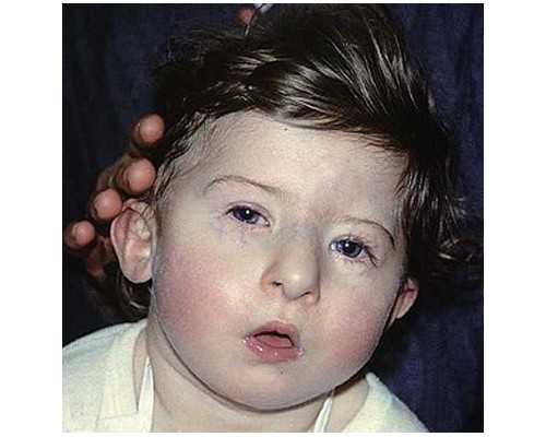 北京助孕网站排名,北京三代供卵代孕包男孩靠谱吗