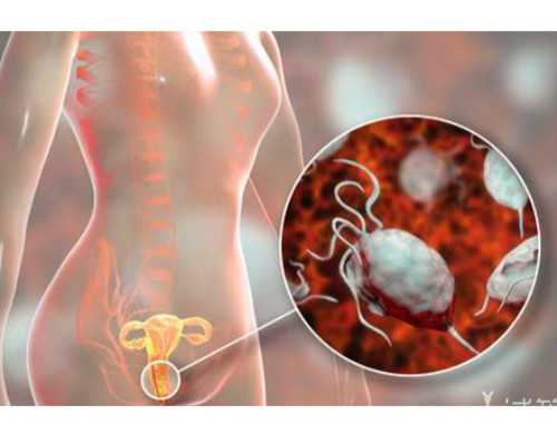 北京最好的代怀,北京喜得尔试管中心,北京喜得尔国际试管中心简介