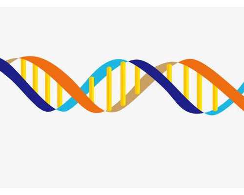 365国际代孕_三代试管怎么取精子,【天津正规医院供卵试管成功的姐妹】我怀儿