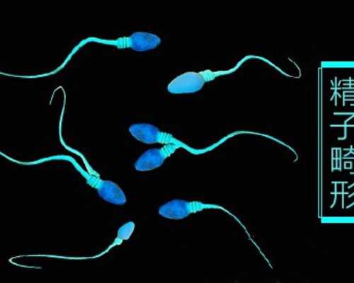 (a)代孕价格贵吗,2026年北大深圳医院三代试管价格要多少钱？，那么2026年北大深