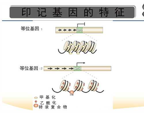 天津与北京试管婴儿哪家医院更出色,因人而异!