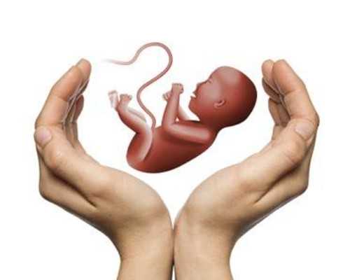 备孕男人多吃什么好(备孕饮食宜忌)