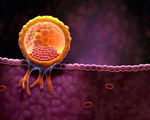 44章一份代孕合同_3万找代妈,解密：试管婴儿和人工授精的几点区别_试管移植后